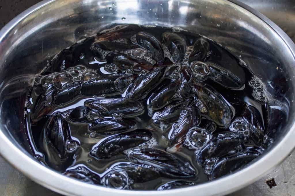 mussels with marinara