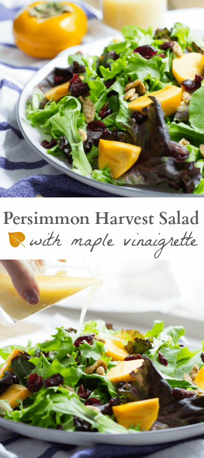 persimmon harvest salad