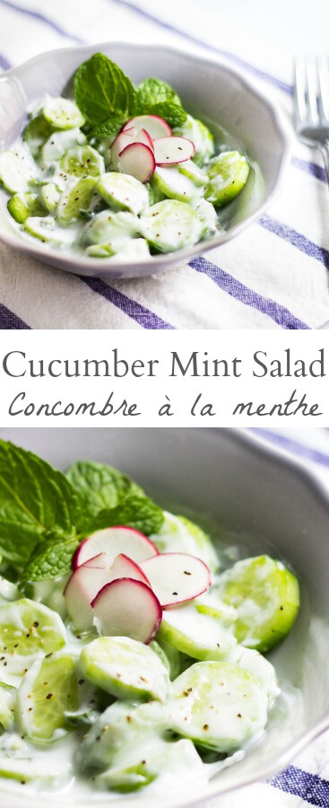 concombre a la menthe