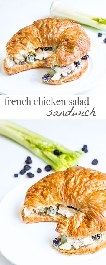 french chicken salad sandwich