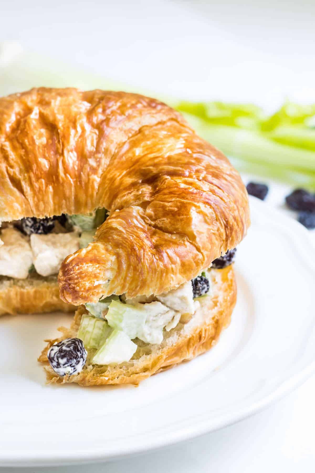 french chicken salad sandwich