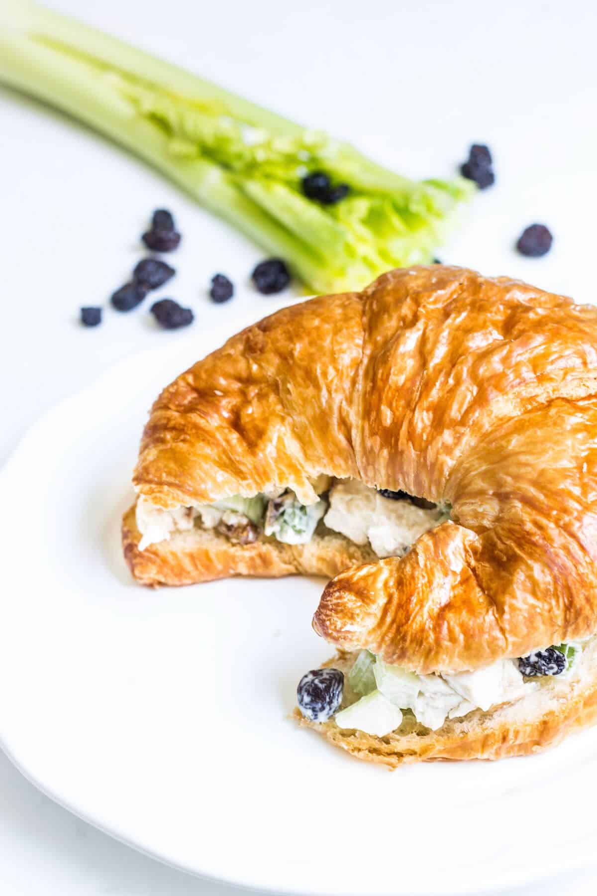 french chicken salad sandwich