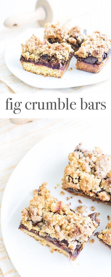 fig crumble bars