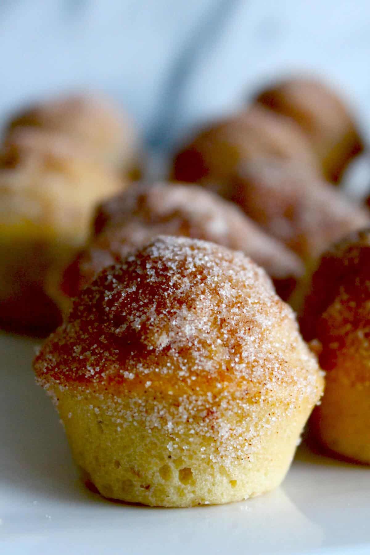 Cinnamon Sugar Muffins (French Breakfast Puffs) close up shot