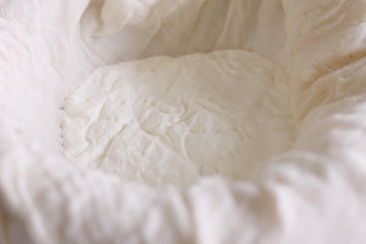 homemade ricotta cheese in cheesecloth