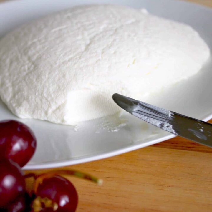 homemade ricotta cheese spread