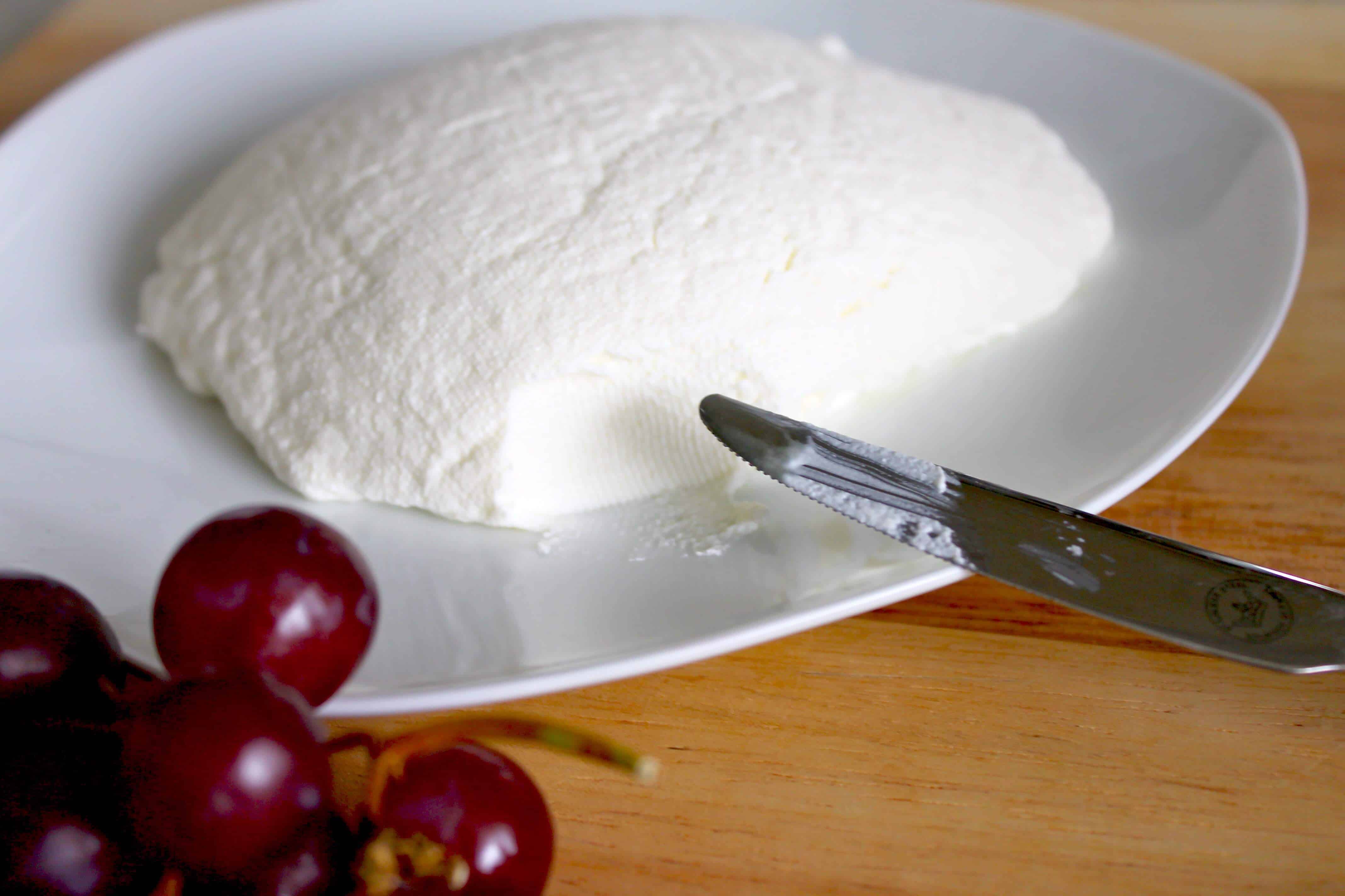 homemade ricotta cheese spread