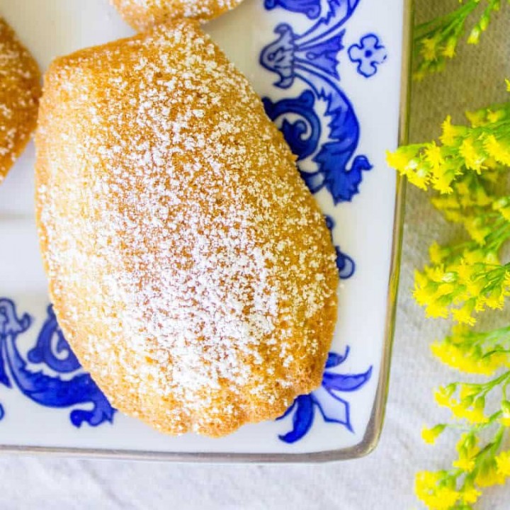 overhead shot of madeleine cake shell shape