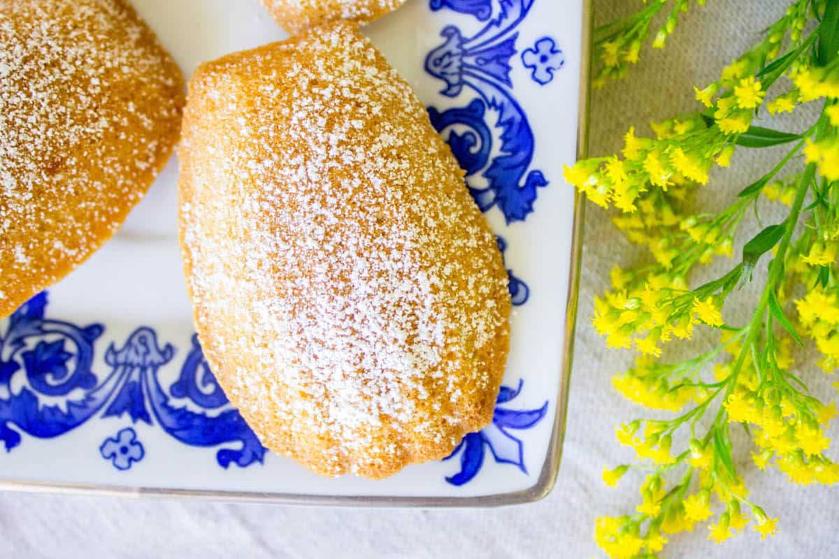 overhead shot of madeleine cake shell shape