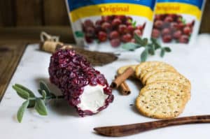 cranberry cheese log