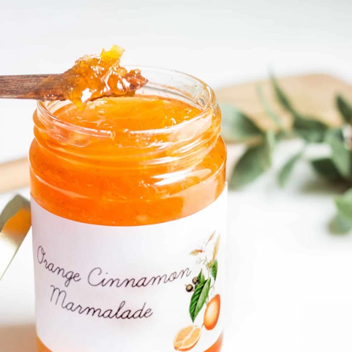 orange marmalade on a spoon image