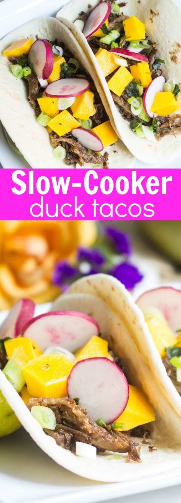 Duck Tacos made in a slow cooker. Tacos given a French twist! Recipe via MonPetitFour.com