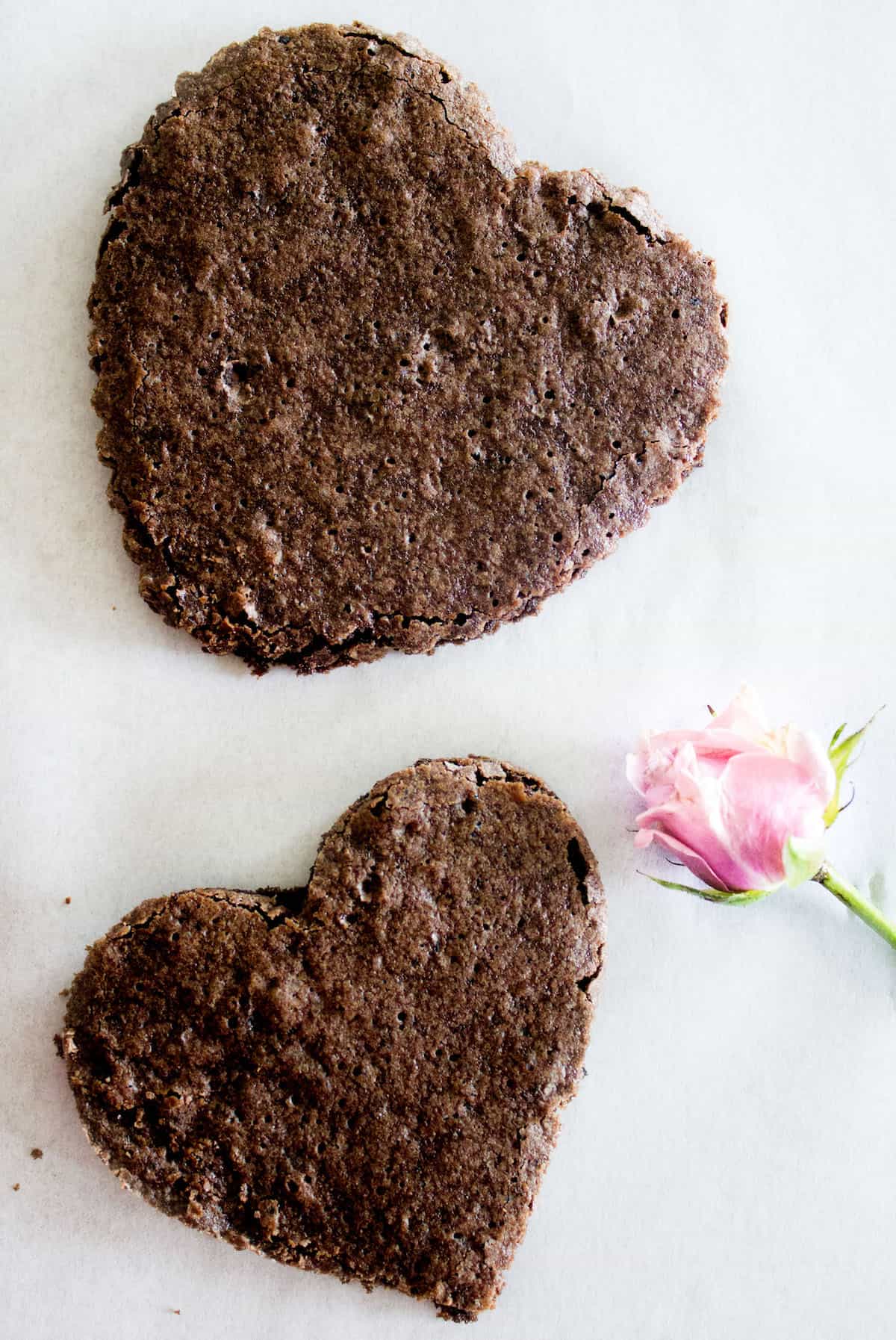Heart-Shaped Brownies portrait
