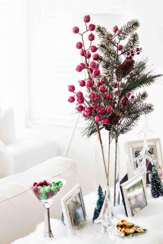 pomegranate stems from Michaels