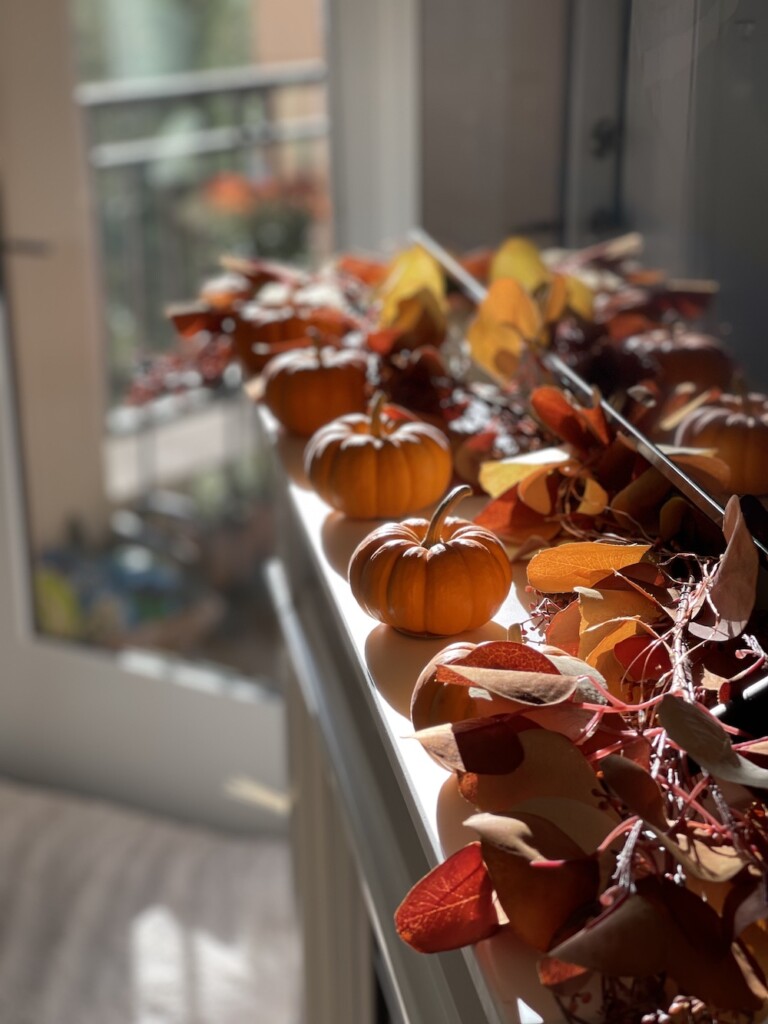 mini pumpkins