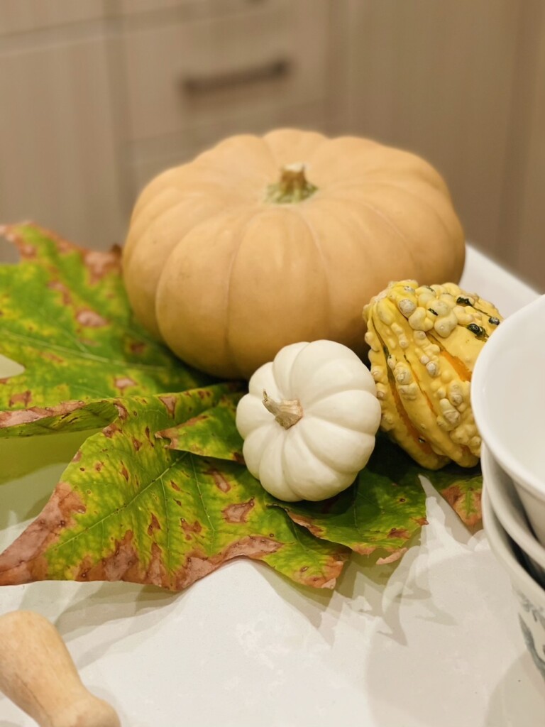 pumpkins