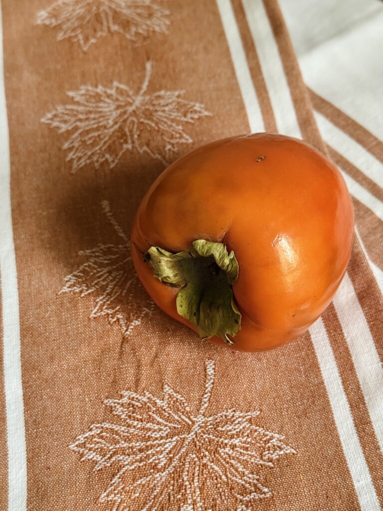 hachiya persimmon