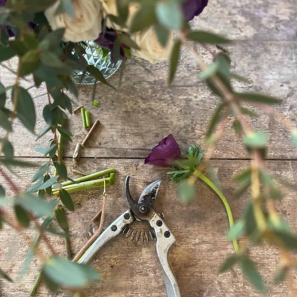 arranging flowers the french way image