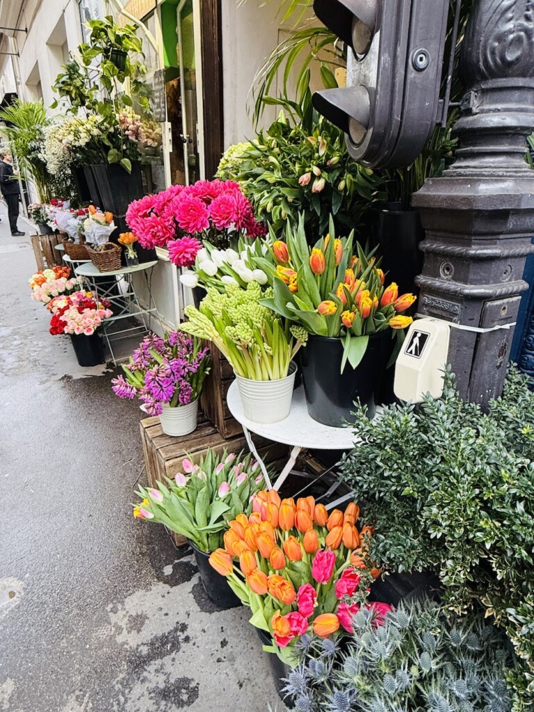 tulips in paris image