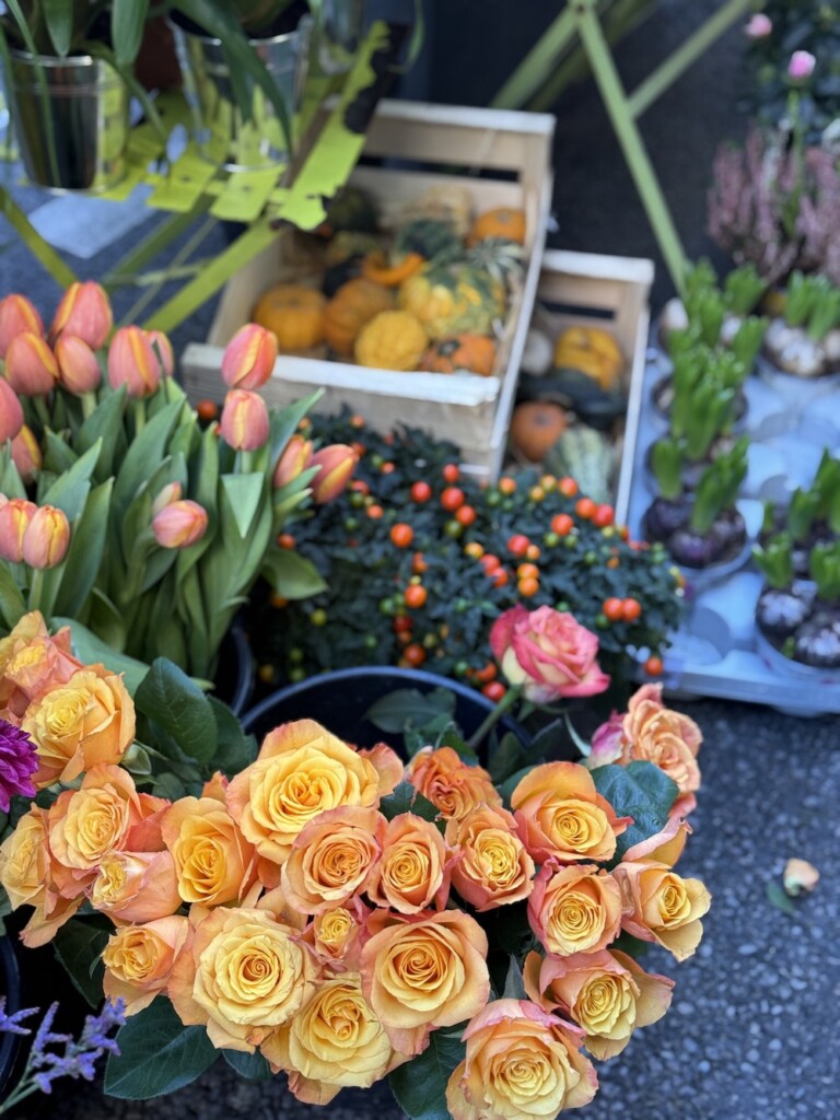 fall flowers in paris image