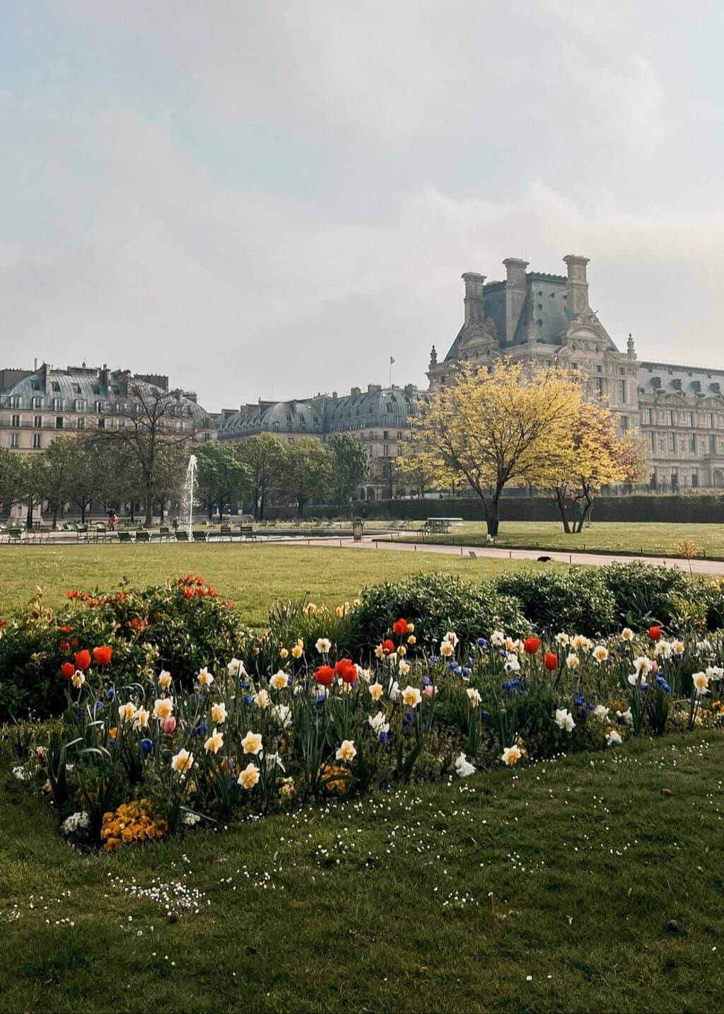 jardin des tuileries in the spring